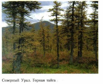 �������� ����