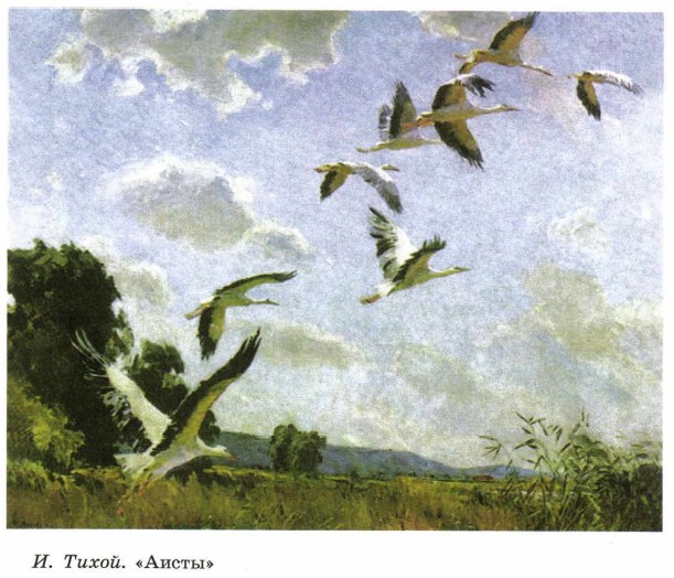 �. �����. �������