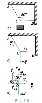 ���� ����� �� ���� ������