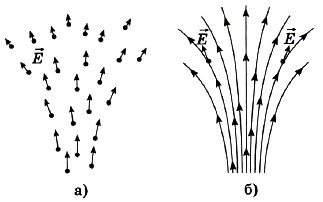 ������� ������������ ���� � ���������� ������ ������������