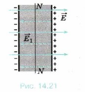 ������������������ ���� ������ ����������