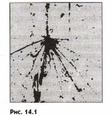 ��������� ������������ ���� ��������