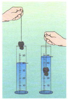 ���� ������������ �����