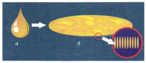 ����� �����