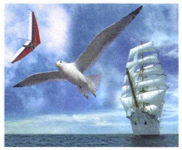 �� ����� ��������