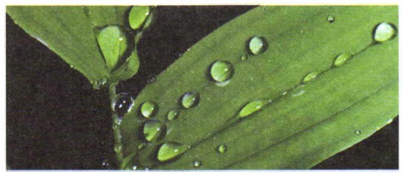 ����� ����� ������������ �����