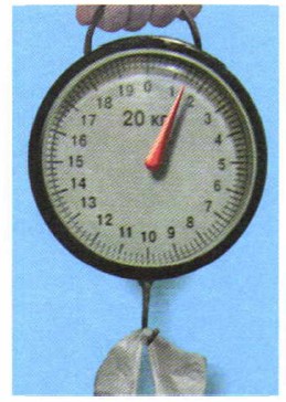 ��������� ����� ���� ������������