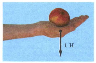 ������ ����� �� ������ � �����, �������� ������ 1 �