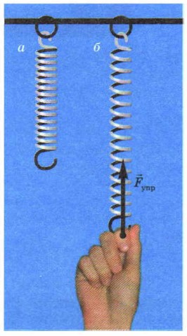 ���� � ��������