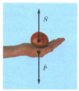 ����, � �������� ��������� ���� �� ����� ������ � ������