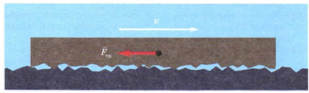 ������� ������������� ���� ������ ����������