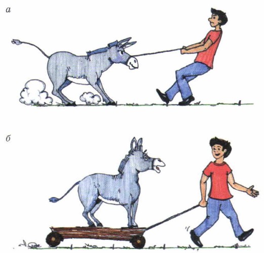 ������ ����