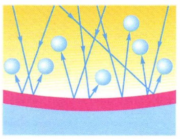 �������� ���� �� ������ ������