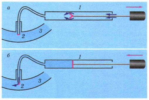 ����� �������� ������������� ������