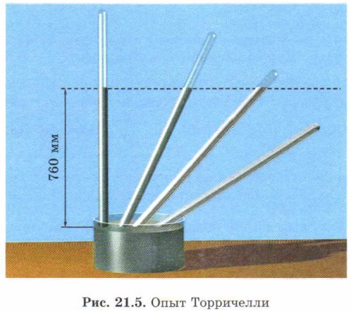 ���� ����������