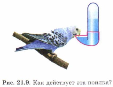 ��� ��������� ��� ������?