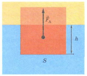 ���� ��������