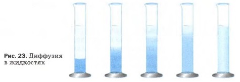 �������� � ���������