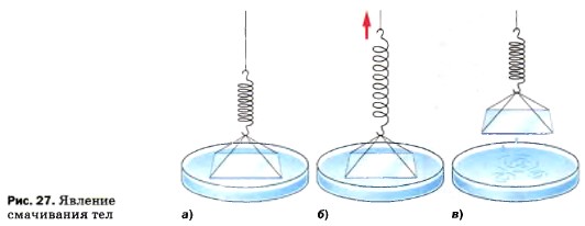 ������� ���������� ���