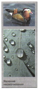 ������� ������������