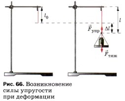 ������������� ���� ���������
��� ����������