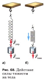 �������� ���� ������� �� ����