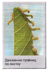 �������� ������� �� ������