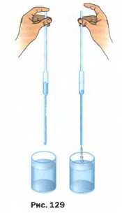 ������ �����, �������� ��� ������ ���� ��������� ���������.