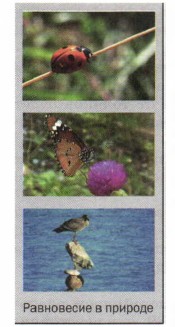 ���������� � �������