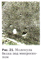 �������� ����� ��� �����������