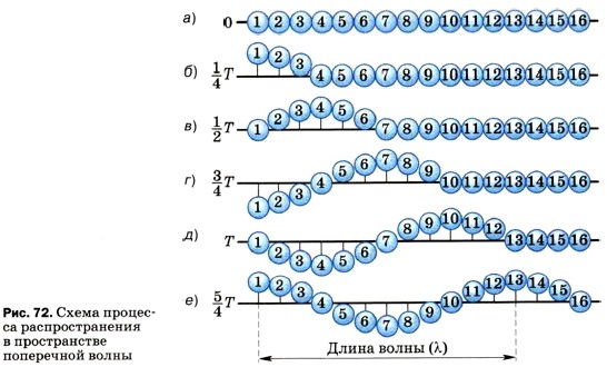 ����� �������� ��������������� � ������������ ���������� �����