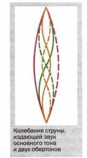 ��������� ������, �������� ���� ��������� ���� � ���� ���������