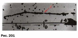 ����� ���� ��������, �������������� ��� ������� ���� ����� �����